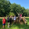 Mittwoch, 20.08.2025